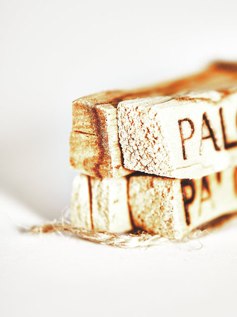 The Power of Palo Santo: A Comprehensive Guide to Burning Palo Santo Sticks - LES VIDES ANGES
